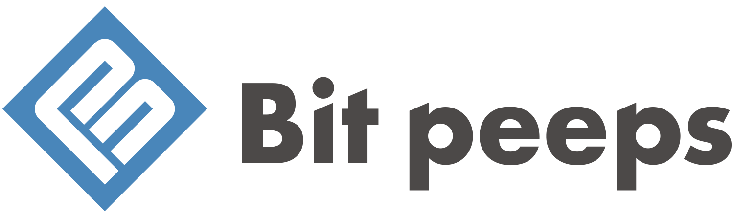 株式会社Bit peeps